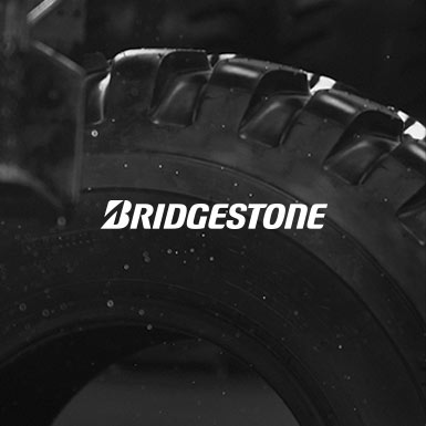 Bridgestone Logo & Tire